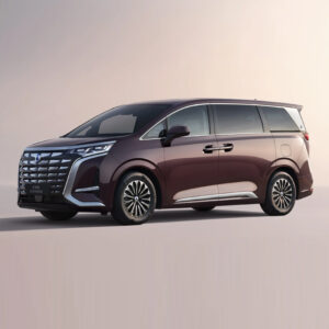 2024 Denza D9 1.5T 139HP L4 E-CVT PHEV 40KWH